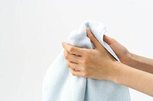 大阪で庭木の剪定や除草をしてくれる会社